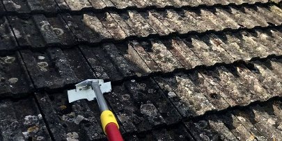 Local roof cleaners nearby