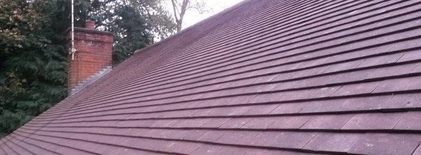 Roof moss removal service west wickham